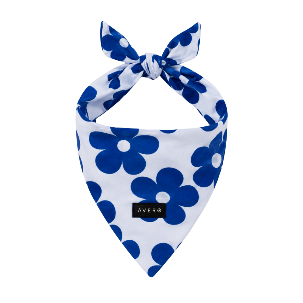 Blue Bloom Kaklaskarė – AVERO